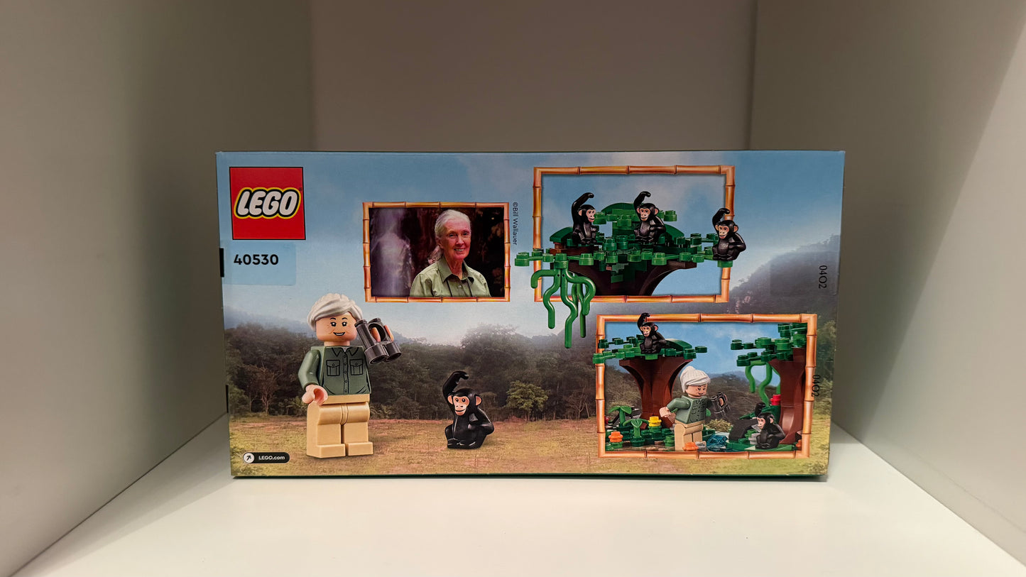 LEGO® 40530 Jane Goodall Tribute